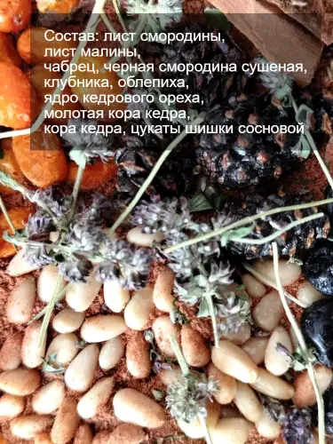 Чай травяной "Кедровый" TE4