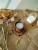 Подставка под горячее для кружки из кедра P22